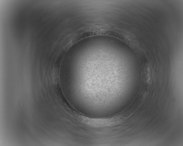 X0000060550034200511070933