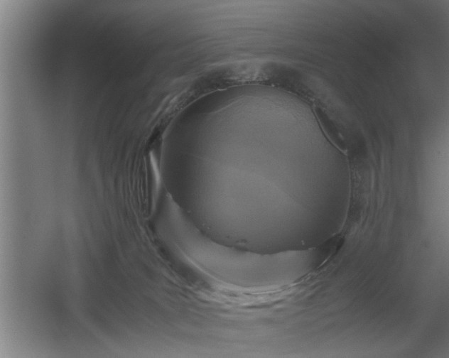 X0000060550035200511070933