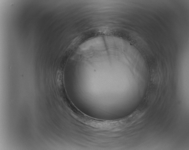 X0000060550036200511070933