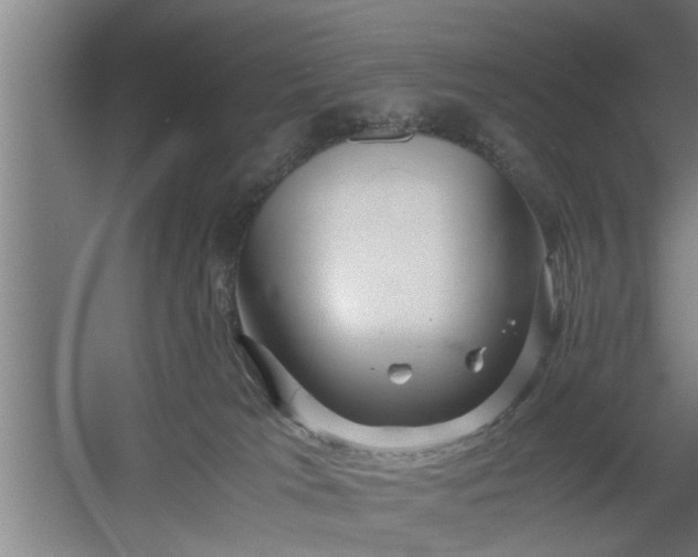 X0000060550037200511070933