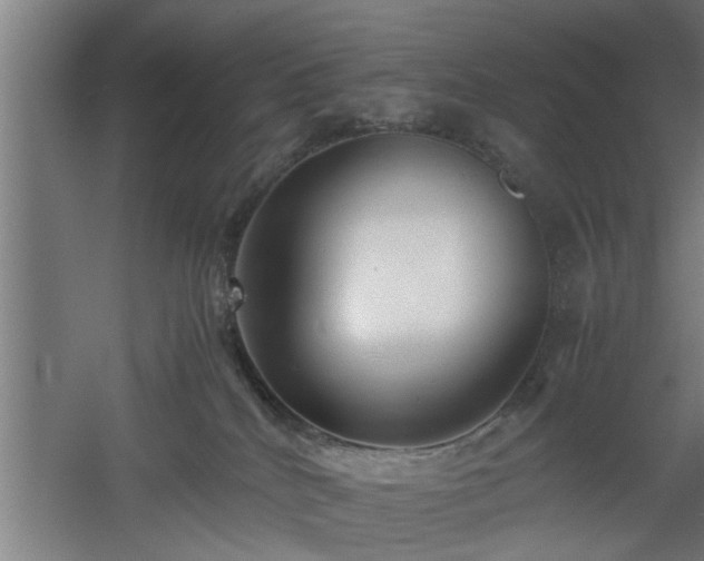 X0000060550040200511070932