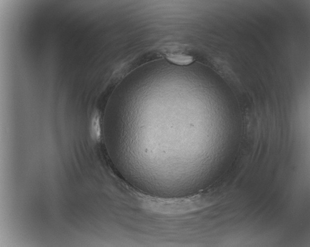 X0000060550042200511070932