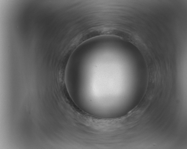 X0000060550044200511070932