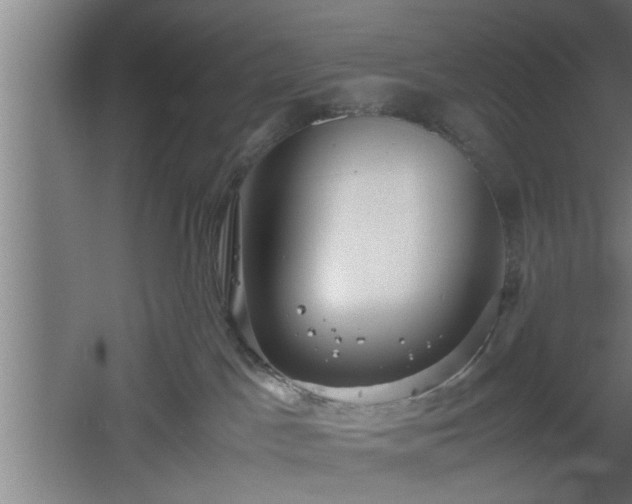 X0000060550045200511070932