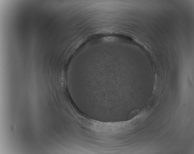 X0000060550048200511070932