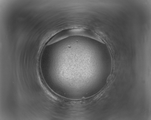 X0000060550049200511070932