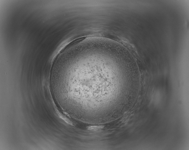 X0000060550051200511070932