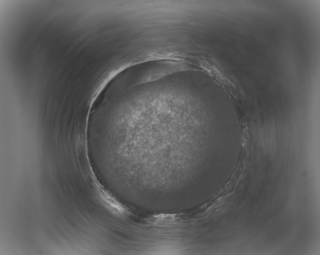 X0000060550052200511070932