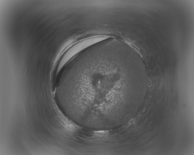 X0000060550053200511070932