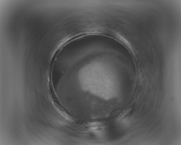 X0000060550059200511070932