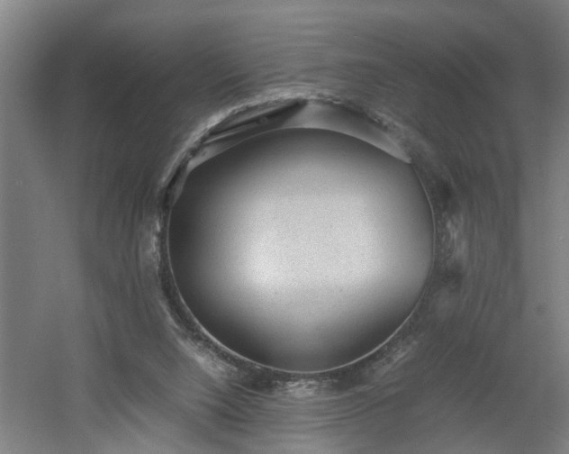 X0000060550064200511070932