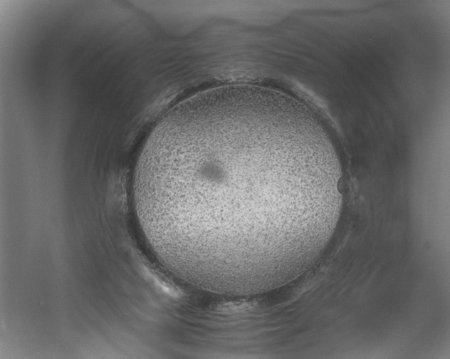 X0000060550065200511070932