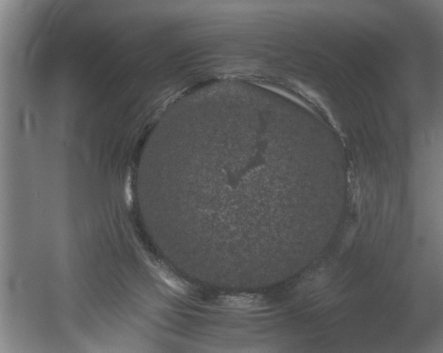 X0000060550069200511070932