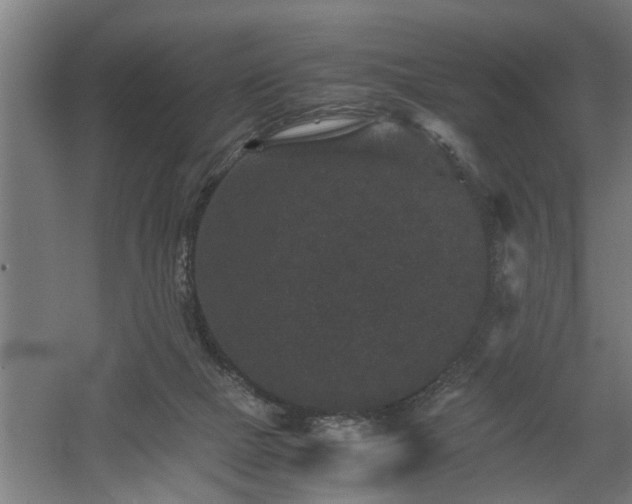 X0000060550073200511070932