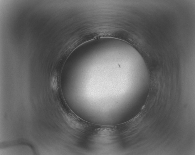 X0000060550074200511070932