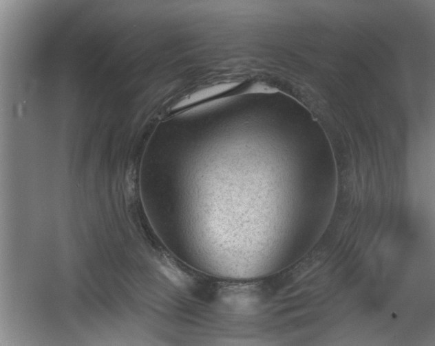 X0000060550081200511070932