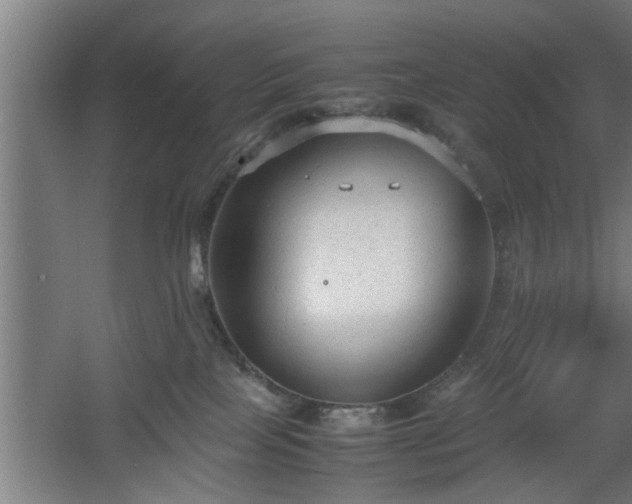 X0000060550089200511070932