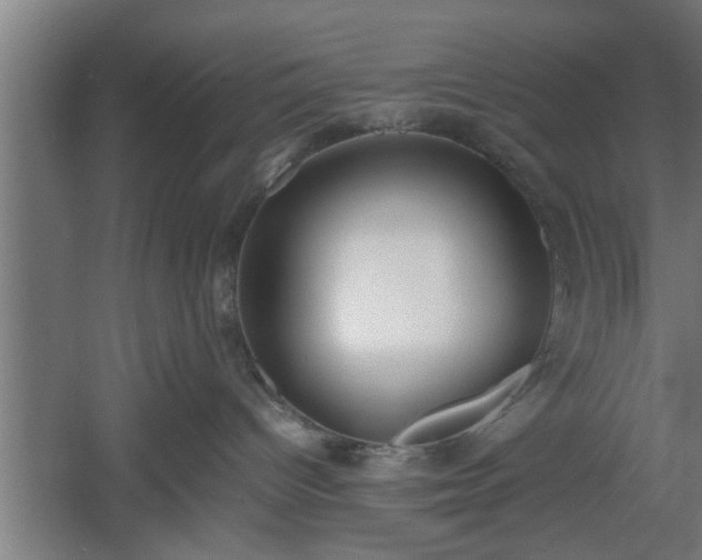 X0000060550096200511070932