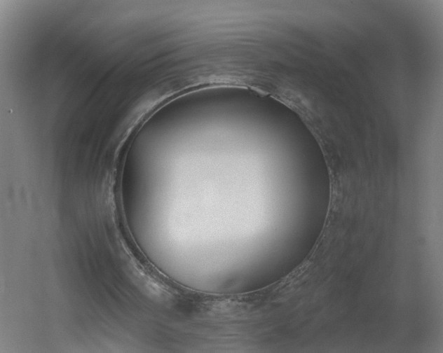 X0000060550098200511070931