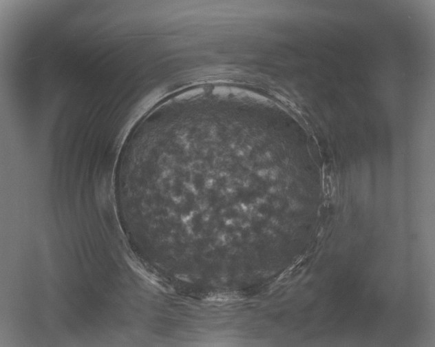 X0000060550099200511070931