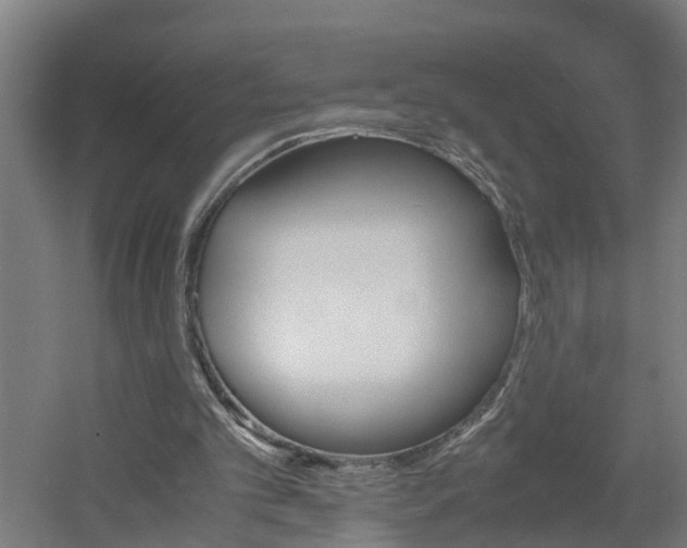 X0000060550101200511070931