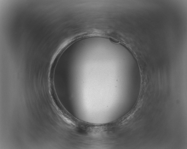 X0000060550102200511070931