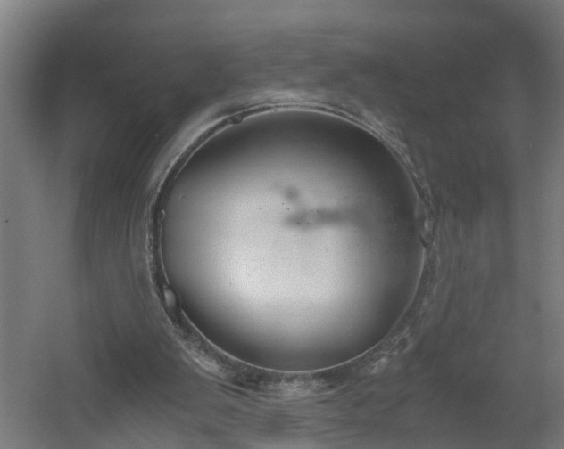 X0000060550103200511070931