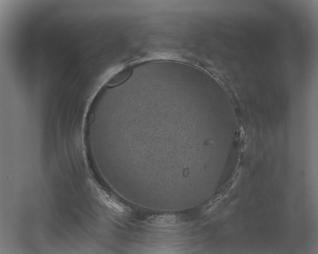 X0000060550104200511070931