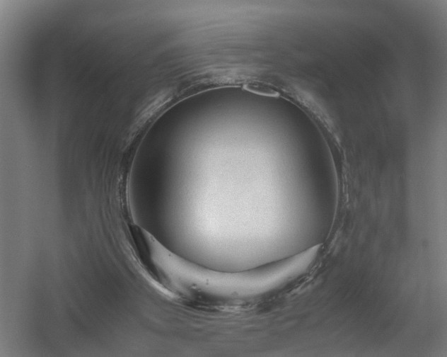 X0000060550105200511070931