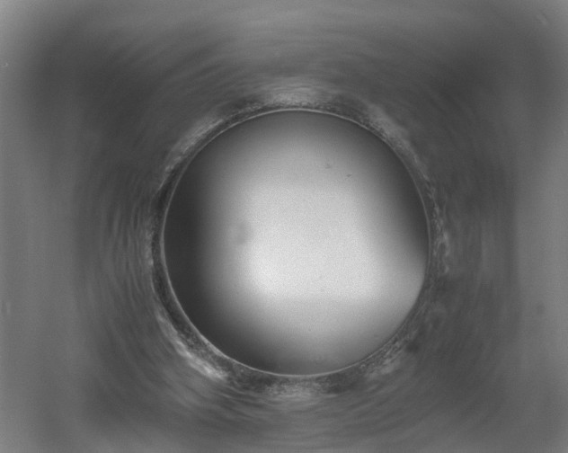 X0000060550106200511070931