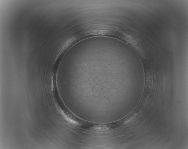 X0000060550110200511070931