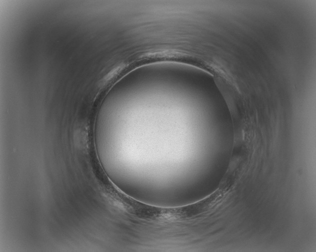 X0000060550111200511070931