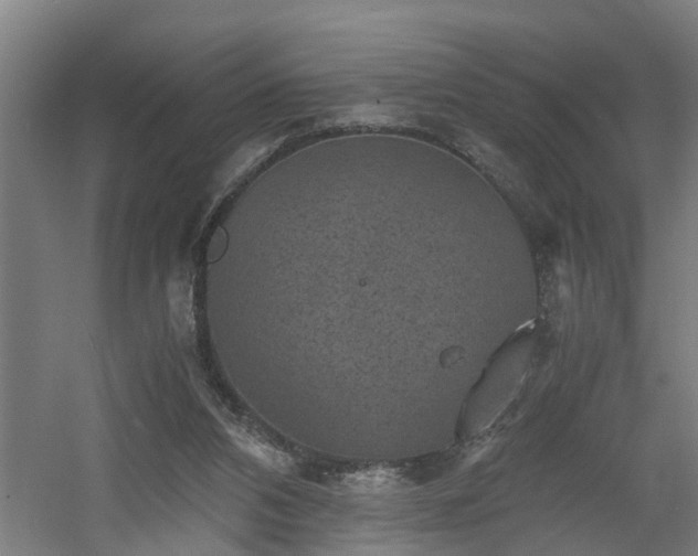 X0000060550112200511070931