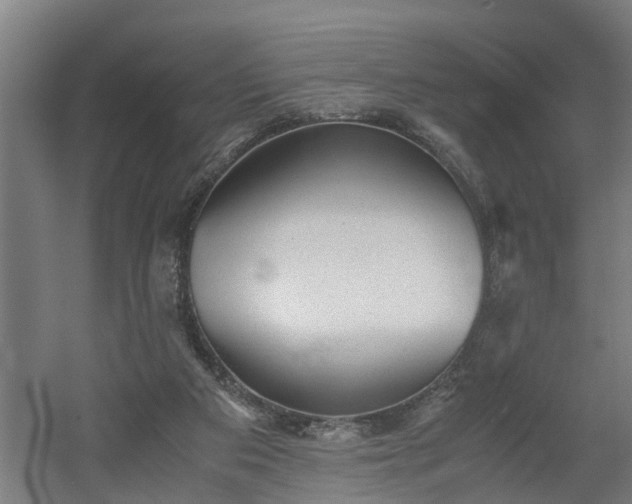 X0000060550113200511070931