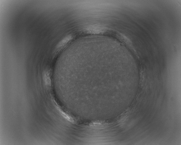 X0000060550114200511070931