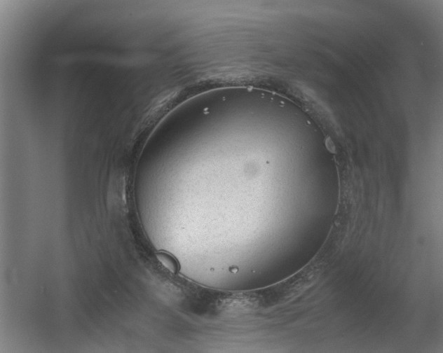 X0000060550115200511070931