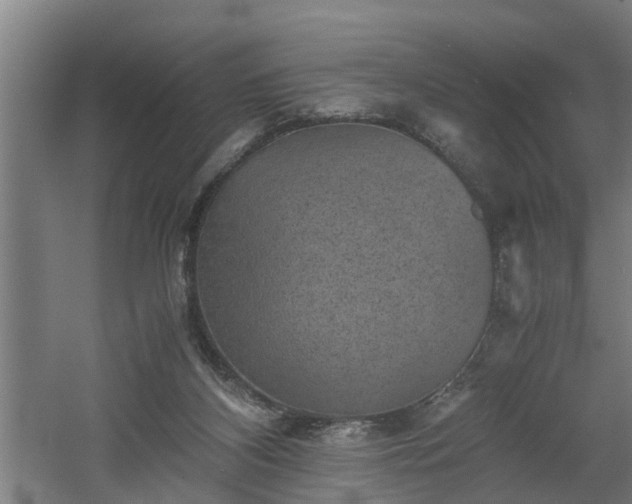 X0000060550116200511070931