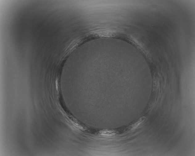 X0000060550117200511070931