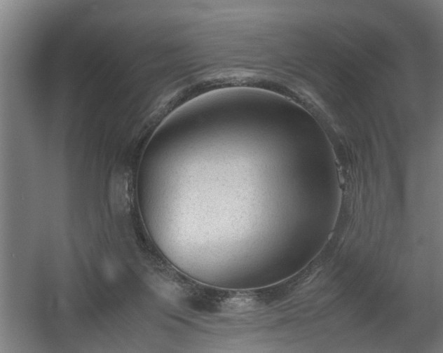 X0000060550119200511070931