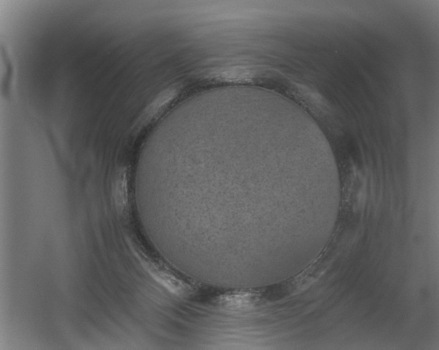 X0000060550120200511070931