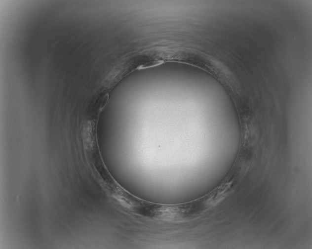 X0000060550121200511070931