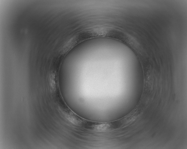 X0000060550122200511070931