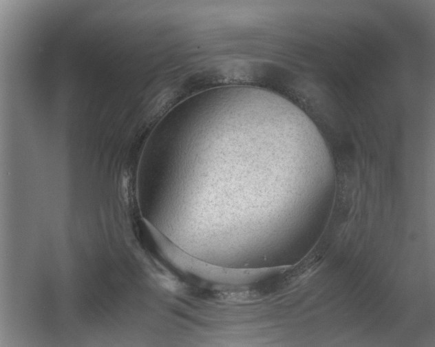 X0000060550123200511070931