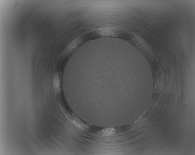 X0000060550124200511070931