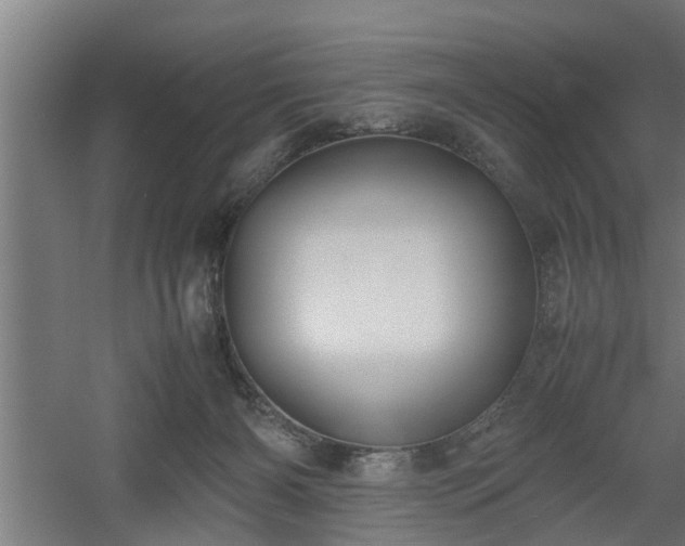 X0000060550126200511070931