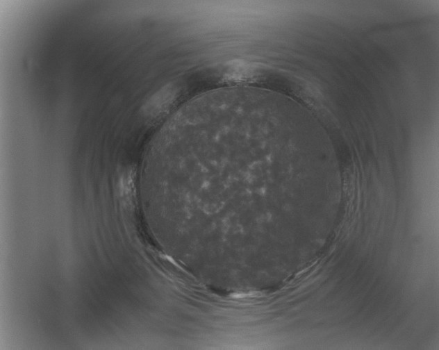 X0000060550127200511070931