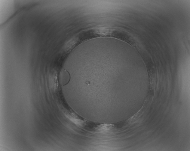 X0000060550128200511070931