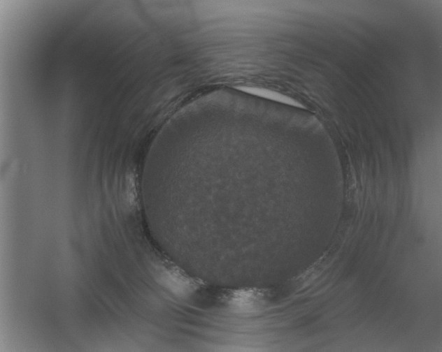 X0000060550130200511070931