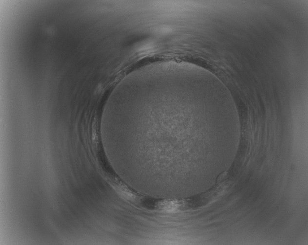 X0000060550131200511070931