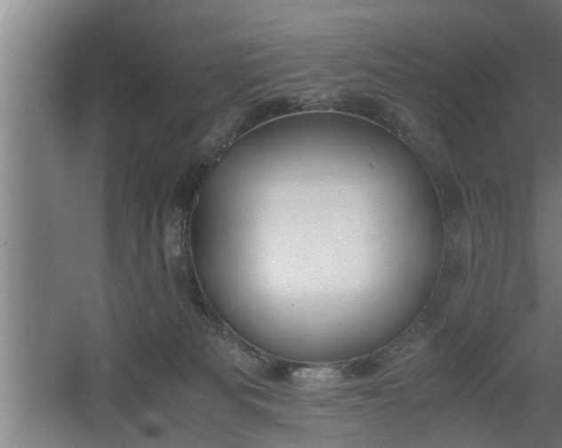 X0000060550133200511070931